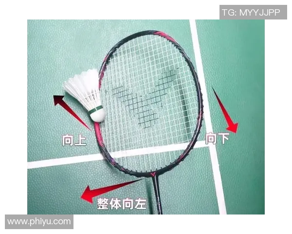 羽毛球新手必看：从力量训练到技巧提升的全面入门指南